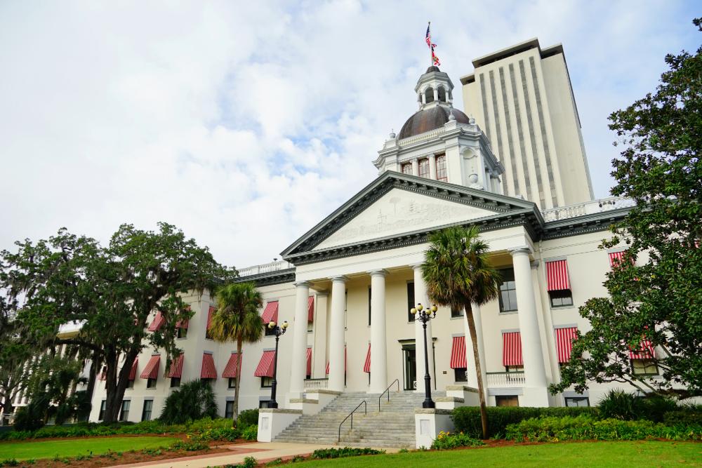 Florida House Bill 1133